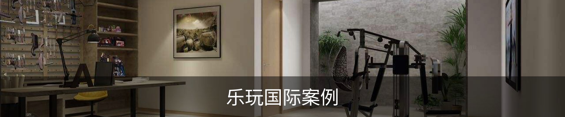乐玩国际案例